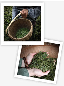 We Heart Tea, and can help you to, too